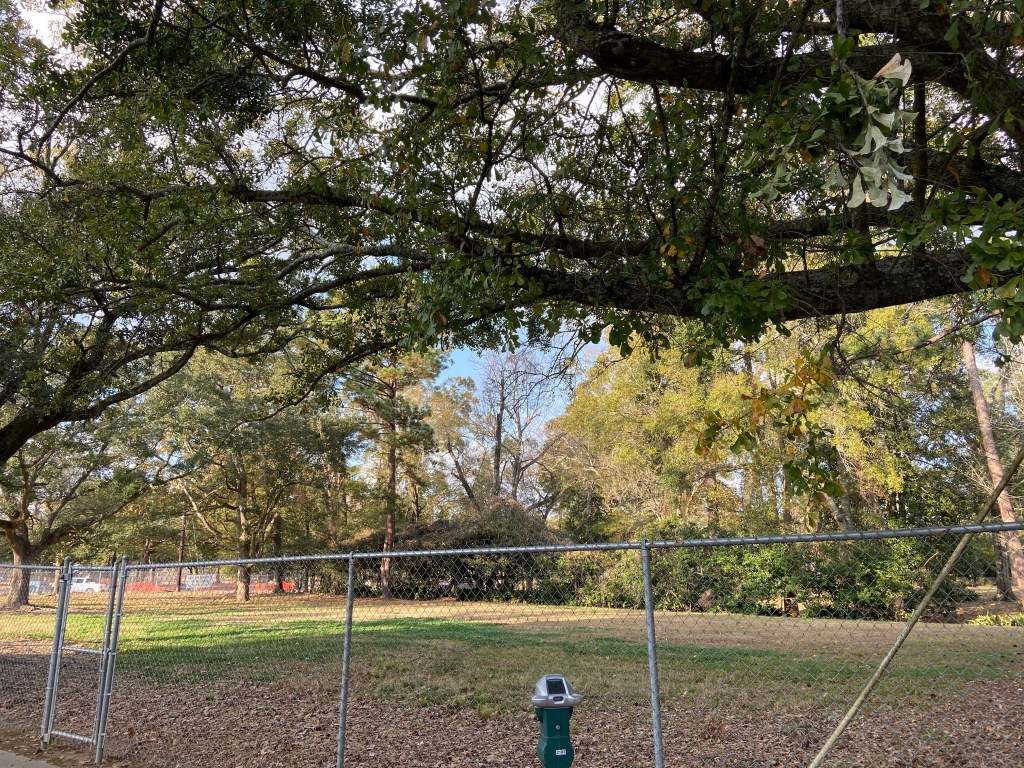 Girard Park rezoning proposal for high-density apartments rejected by Lafayette City-Parish&nbsp;Council