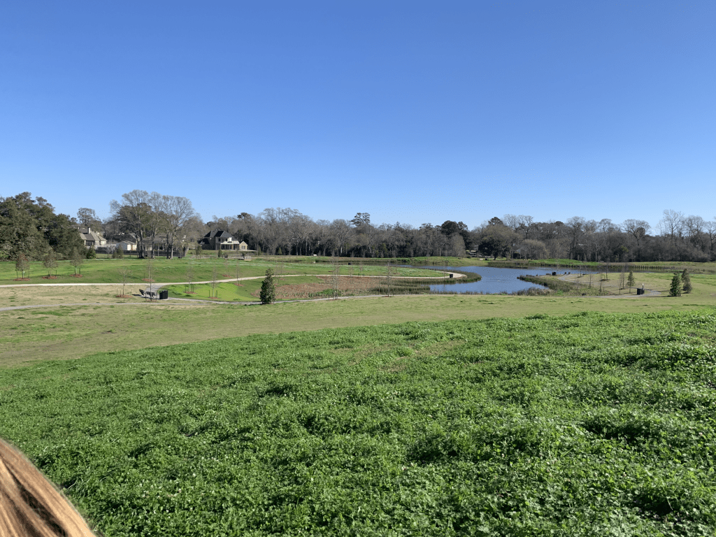 Picture of natural, well-trimmed grassland in the park. A large lake snakes through the middle of the greenery.