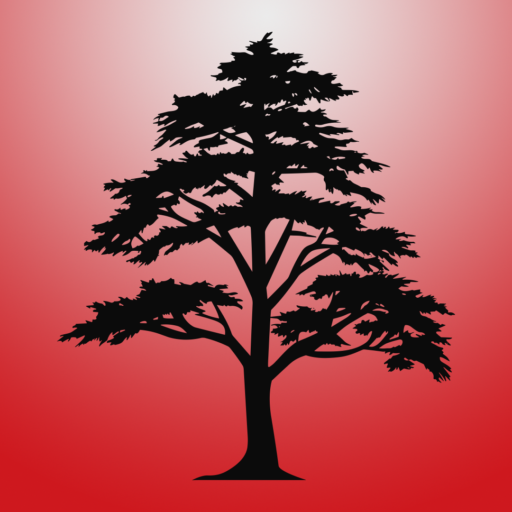 The Cypress Lake Wire